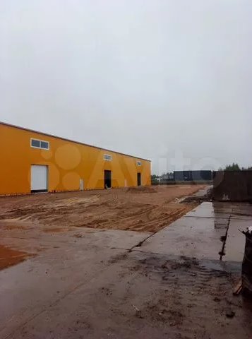 Аренда отельно стоящего здания под склад-производство 1494 м²