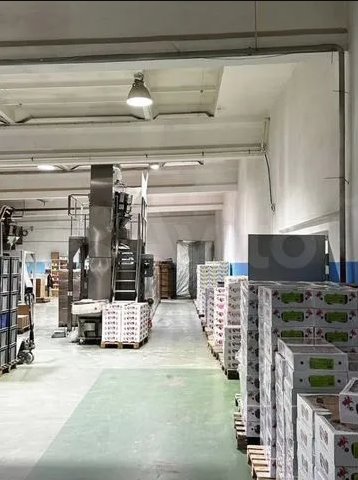 Аренда помещения под пищевое производство от 4000 м² до 7000 м² в центре города